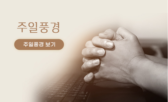 북촌뉴스